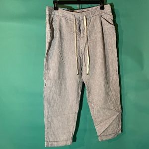 OLD NAVY Blue Stripped Cropped Plus Court Pants